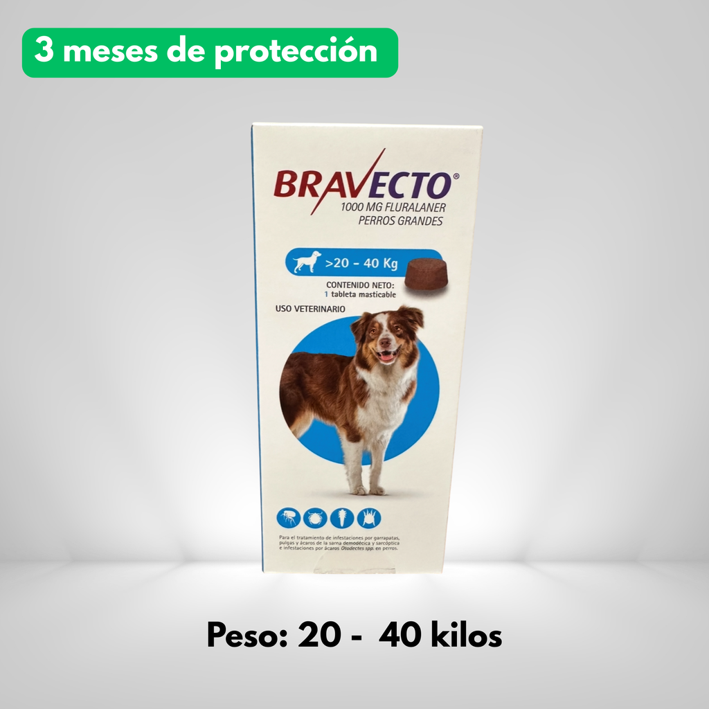 Bravecto® Tableta Masticable para Perros – Protección por 3 Meses